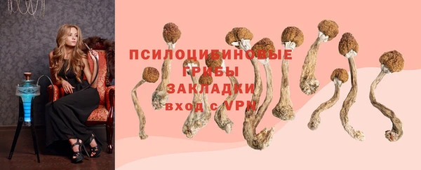 spice Пестово