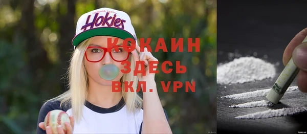 spice Пестово
