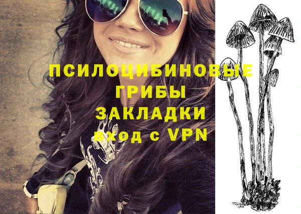 винт Пересвет