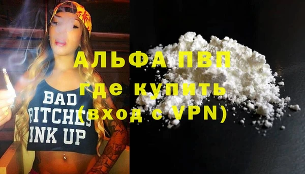 винт Пересвет