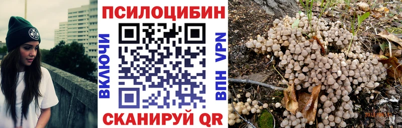 Псилоцибиновые грибы Psilocybine cubensis  Кяхта 